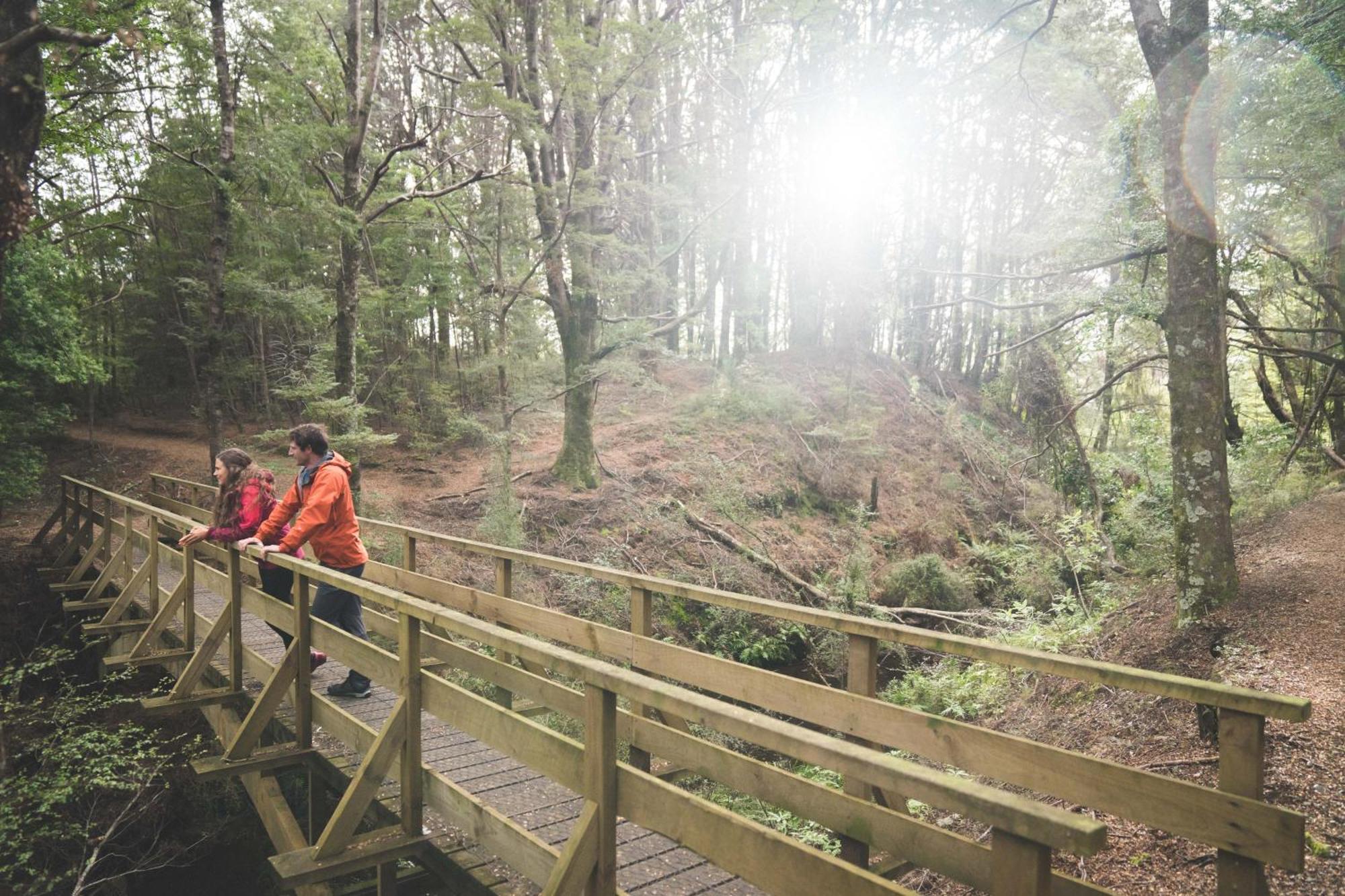 Fiordland National Park Lodge Te Anau Downs Eksteriør billede