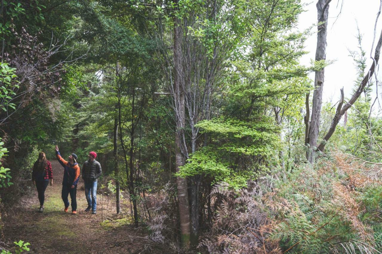 Fiordland National Park Lodge Te Anau Downs Eksteriør billede
