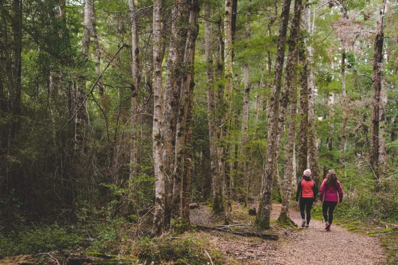 Fiordland National Park Lodge Te Anau Downs Eksteriør billede